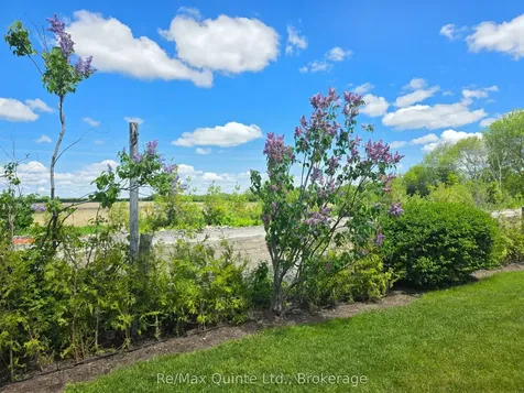 46 Lake Breeze Court Prince Edward County ON K0K 3L0