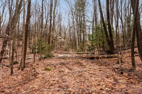 0 Trafalgar Bay Road Muskoka Lakes ON P0C 1A0