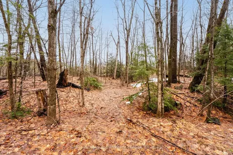 0 Trafalgar Bay Road Muskoka Lakes ON P0C 1A0