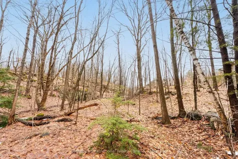 0 Trafalgar Bay Road Muskoka Lakes ON P0C 1A0