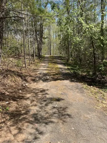 1091 North Tooke Lake Road Lake Of Bays ON P0B 1A0