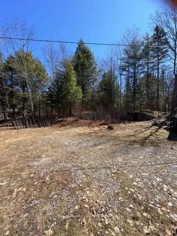 1464 Buckslide Road Algonquin Highlands ON K0M 1S0