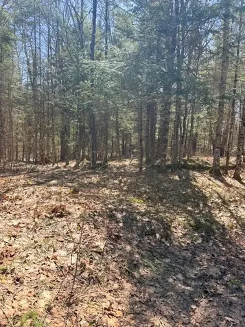 1464 Buckslide Road Algonquin Highlands ON K0M 1S0