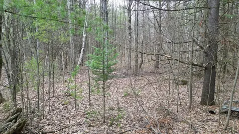 2493 Housey's Rapids Road Kawartha Lakes ON L0K 2B0