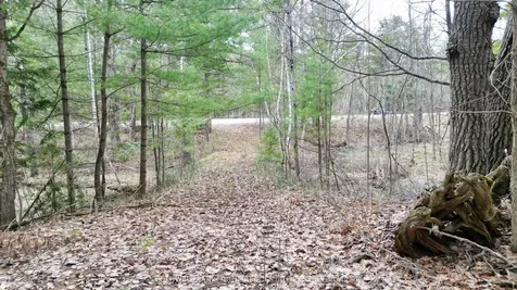 2493 Housey's Rapids Road Kawartha Lakes ON L0K 2B0