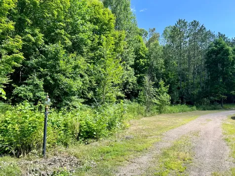 19626 41 Highway Addington Highlands ON K0H 1K0
