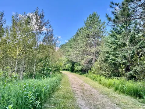 19626 41 Highway Addington Highlands ON K0H 1K0