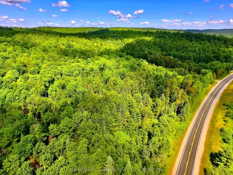 19626 41 Highway Addington Highlands ON K0H 1K0