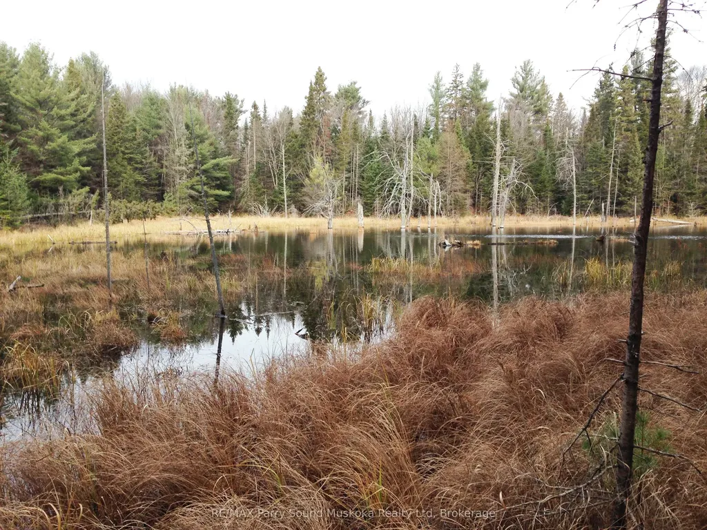 Lot 6 Con 5 N/a Magnetawan ON P0A 1P0