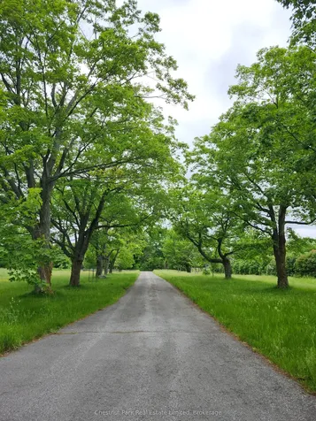 132 Mckinley Cross Prince Edward County ON K0K 2T0