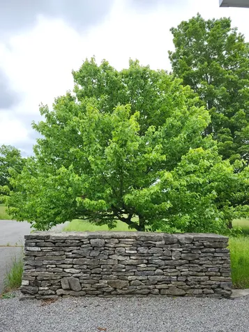 132 Mckinley Cross Prince Edward County ON K0K 2T0
