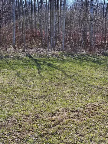 7234 First Line Centre Wellington ON N0G 1A0