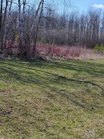 7234 First Line Centre Wellington ON N0G 1A0