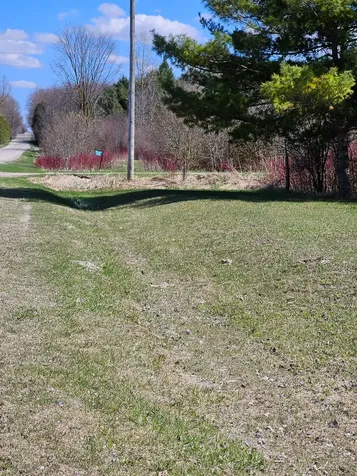 7234 First Line Centre Wellington ON N0G 1A0