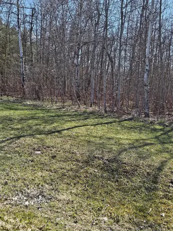 7234 First Line Centre Wellington ON N0G 1A0