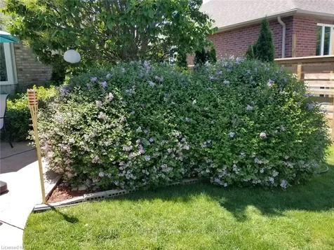 54 Oxford E Blandford-blenheim ON N0J 1G0