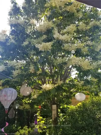 54 Oxford E Blandford-blenheim ON N0J 1G0