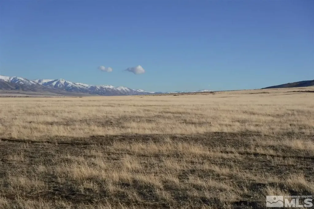 Apn 14-0261-10 Moose Winnemucca NV 89445