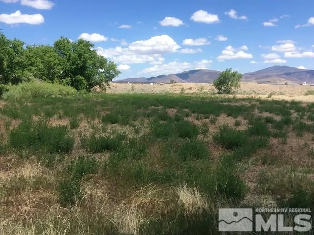 1075 Browne Fernley NV 89408