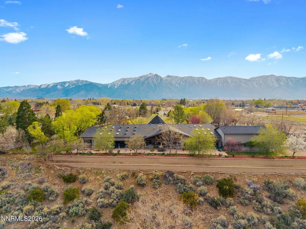 951 Riverview Gardnerville NV 89460
