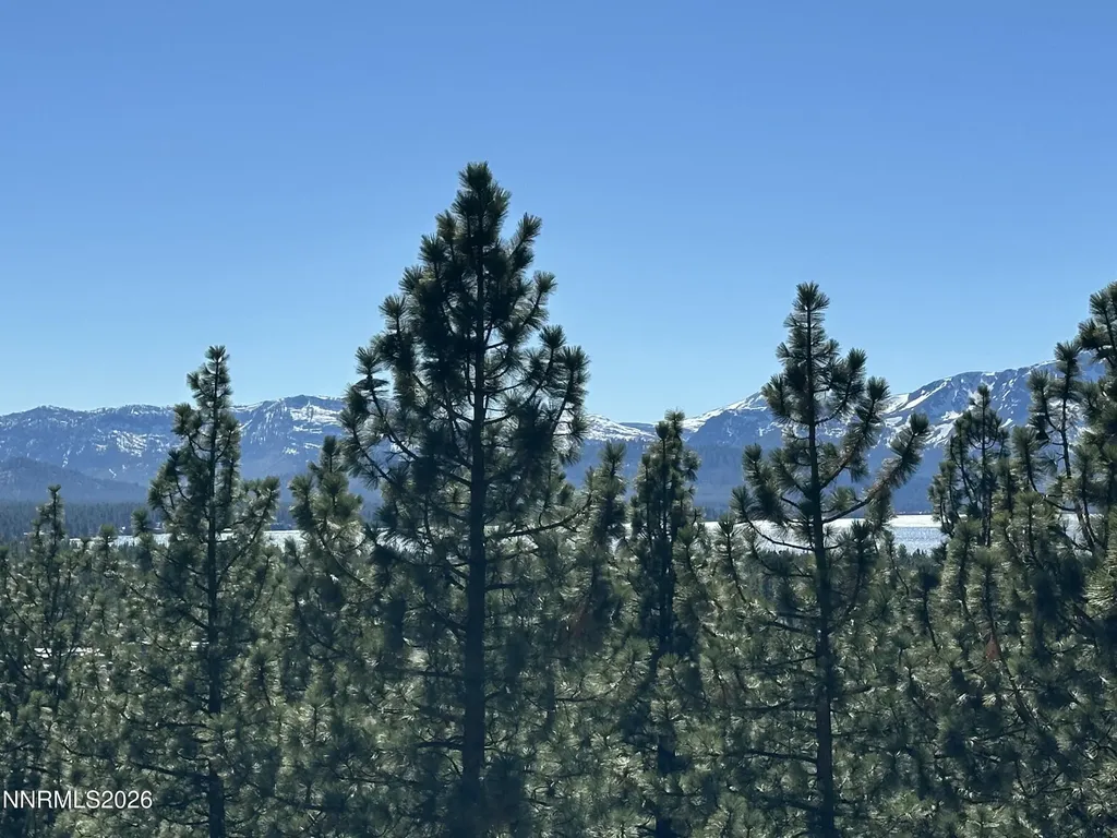 133 Holly Stateline NV 89449