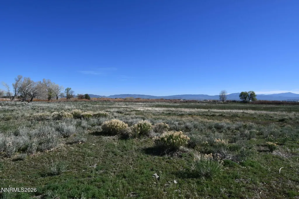 1597 Us Highway 395 Minden NV 89423