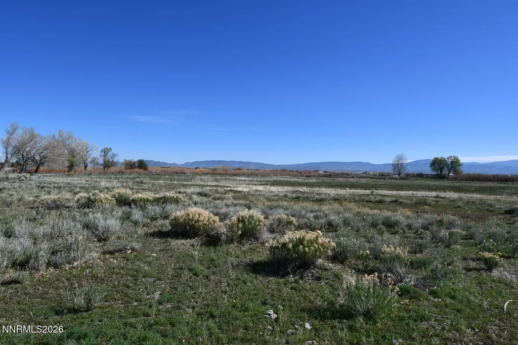 1597 Us Highway 395 Minden NV 89423