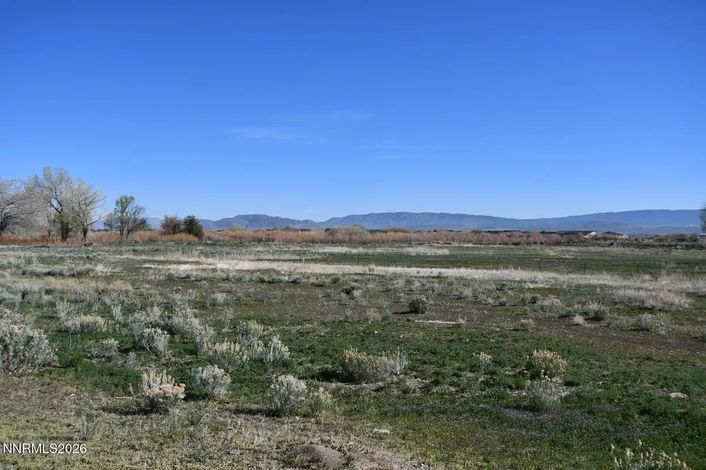 1597 Us Highway 395 Minden NV 89423