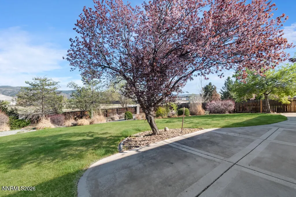 290 Stonewall Reno NV 89511