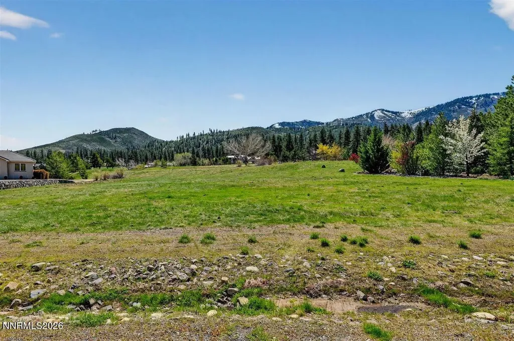 27 Lightning W Ranch Washoe Valley NV 89704
