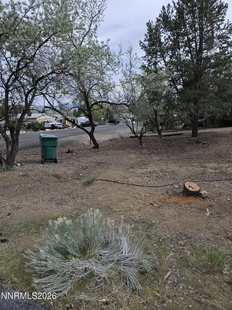 255 Danforth Sun Valley NV 89433