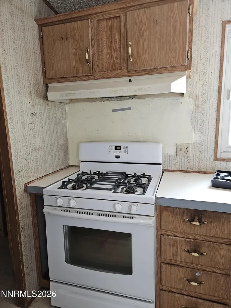 255 Danforth Sun Valley NV 89433