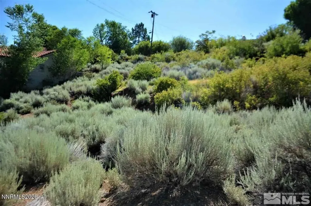 3245 Markridge Reno NV 89509