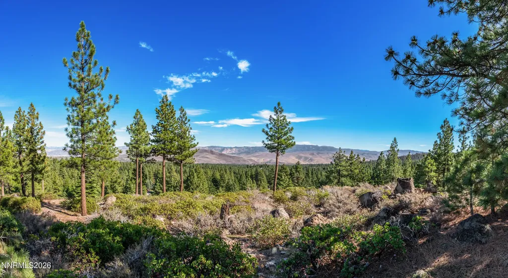 145 Jeffrey Pine Reno NV 89511