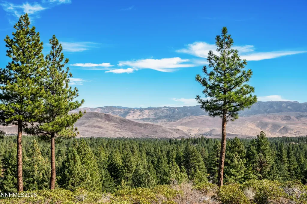 145 Jeffrey Pine Reno NV 89511