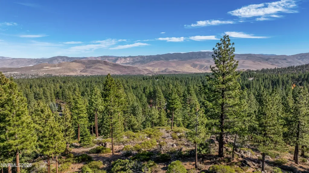 145 Jeffrey Pine Reno NV 89511