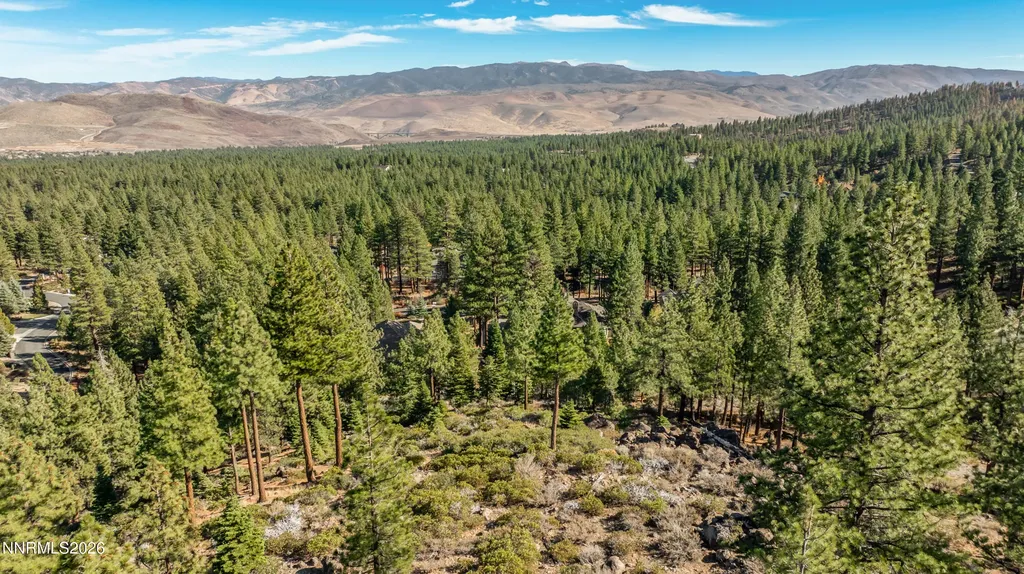 145 Jeffrey Pine Reno NV 89511