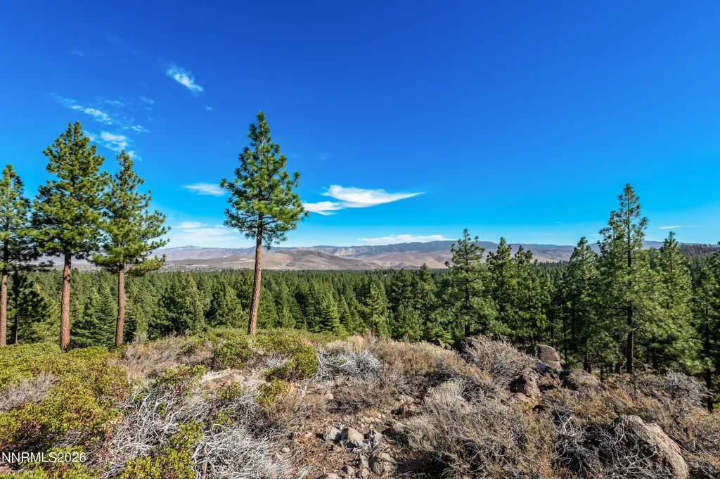 145 Jeffrey Pine Reno NV 89511