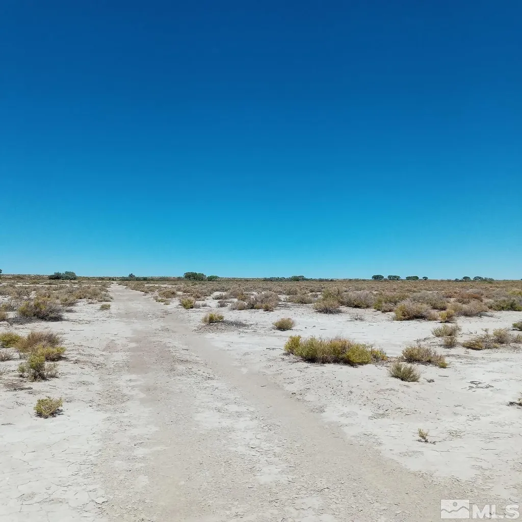 Apn # 007-091-60 Fallon NV 89406