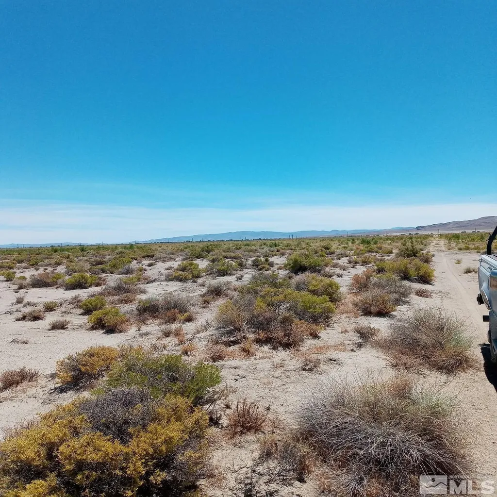 Apn # 007-091-60 Fallon NV 89406