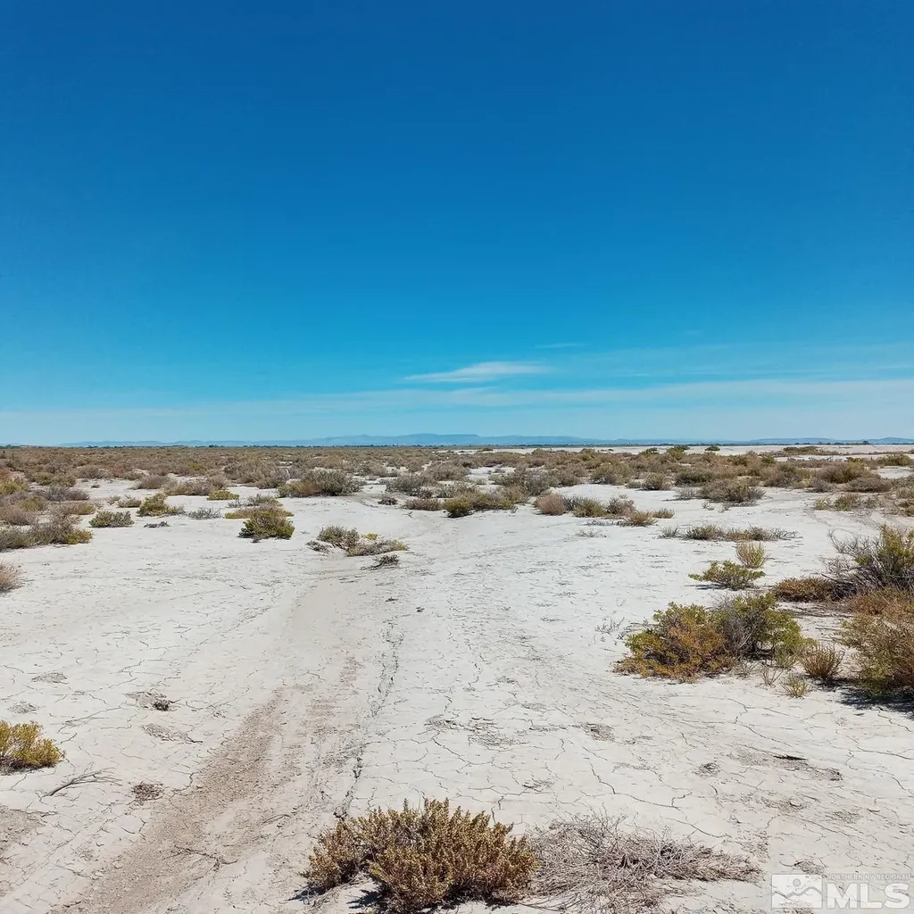 Apn # 007-091-60 Fallon NV 89406