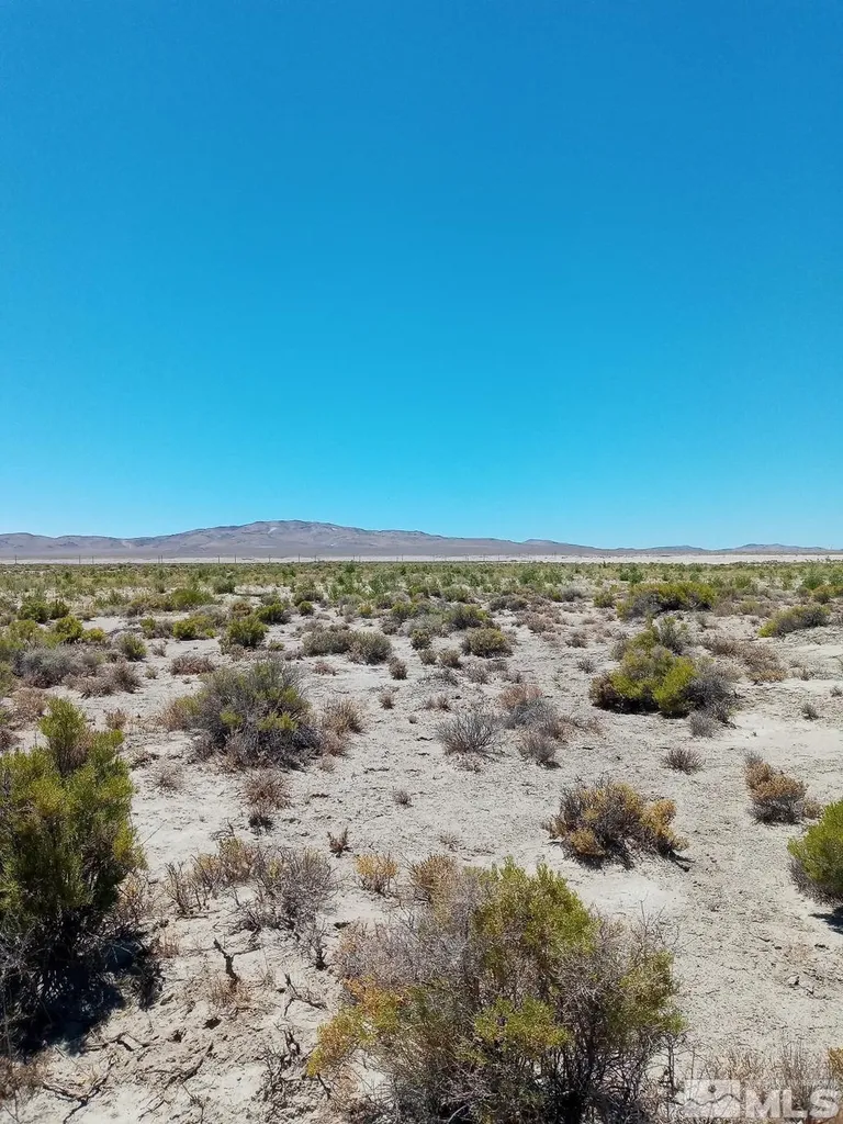 Apn # 007-091-59 Fallon NV 89406