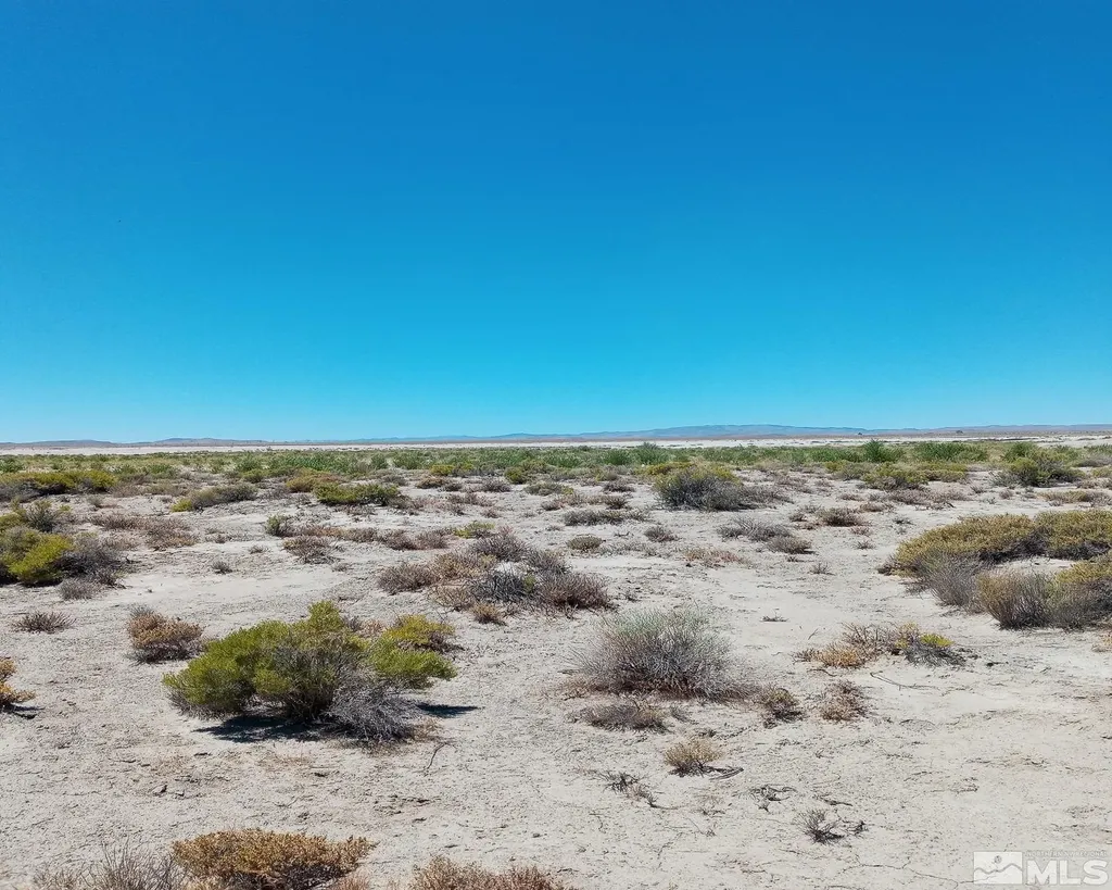 Apn # 007-091-59 Fallon NV 89406