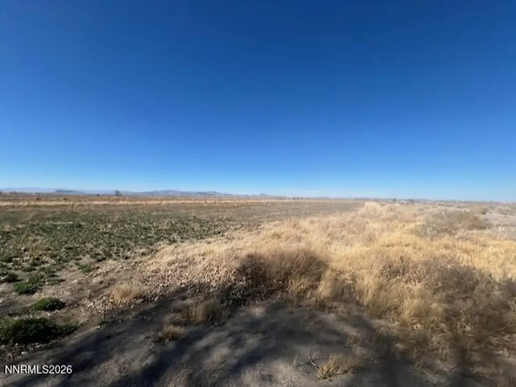 40.23 Acres Workman Fallon NV 89406