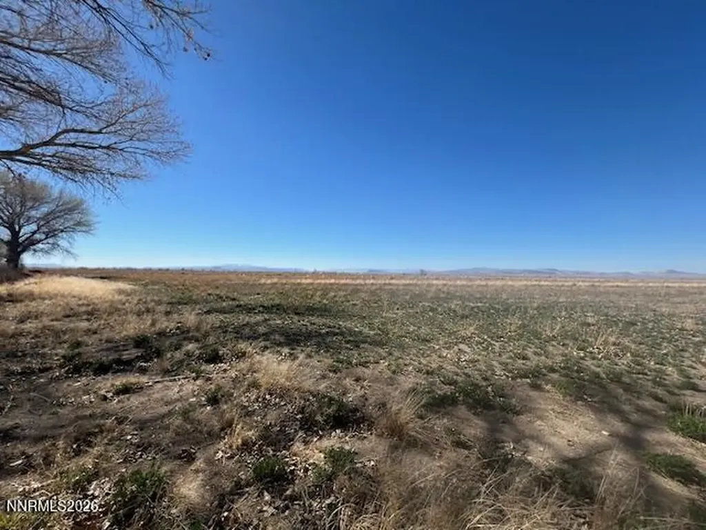40.23 Acres Workman Fallon NV 89406