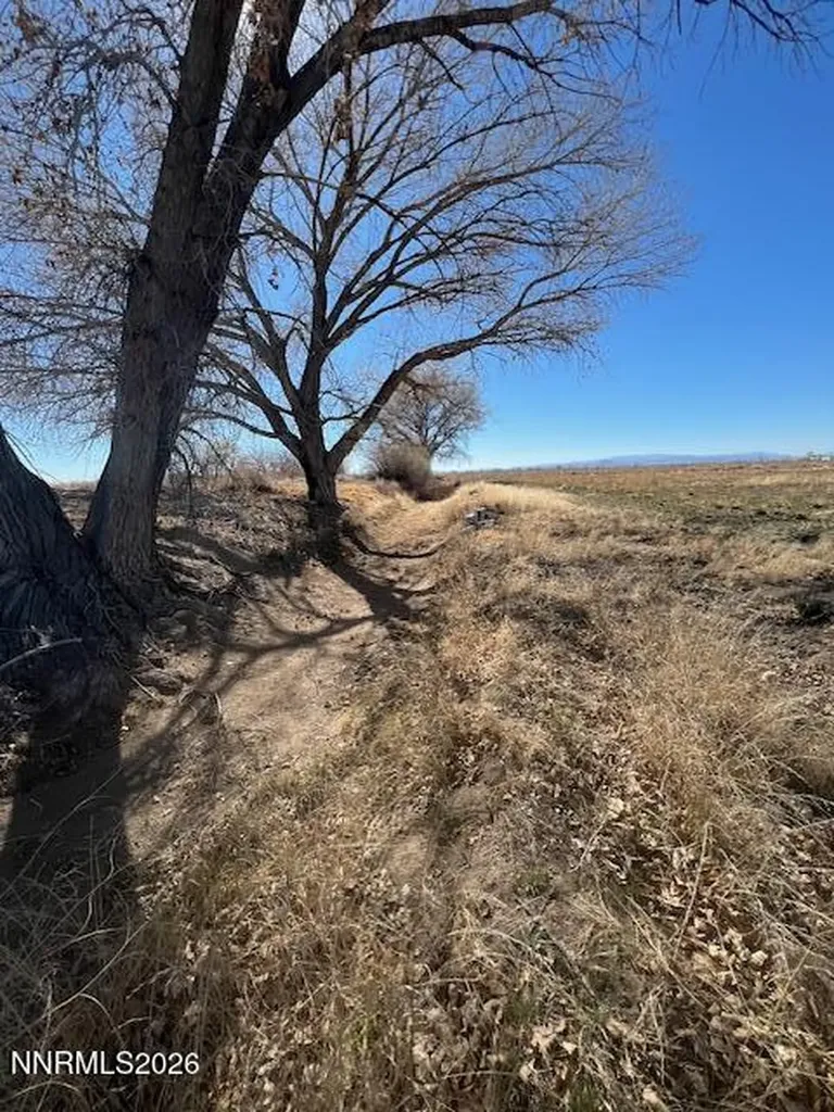 40.23 Acres Workman Fallon NV 89406