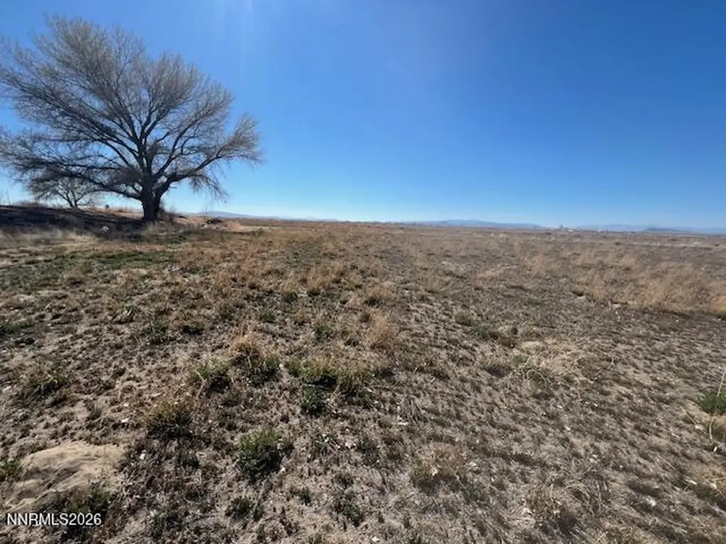 40.23 Acres Workman Fallon NV 89406