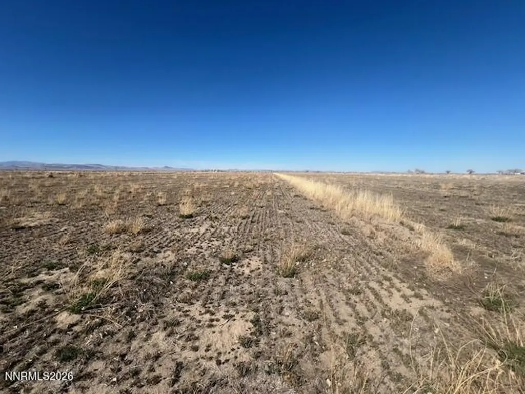 40.23 Acres Workman Fallon NV 89406