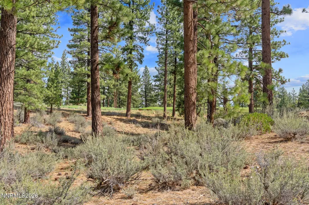 3406 Golf Club Carson City NV 89705