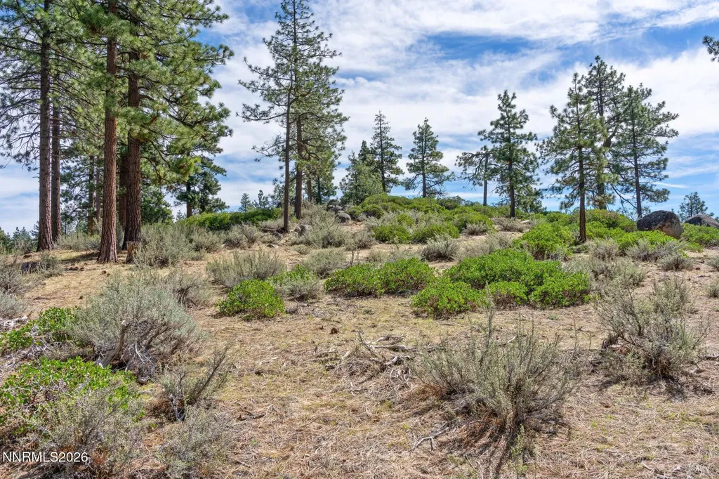 3406 Golf Club Carson City NV 89705